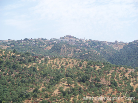 paysage 13